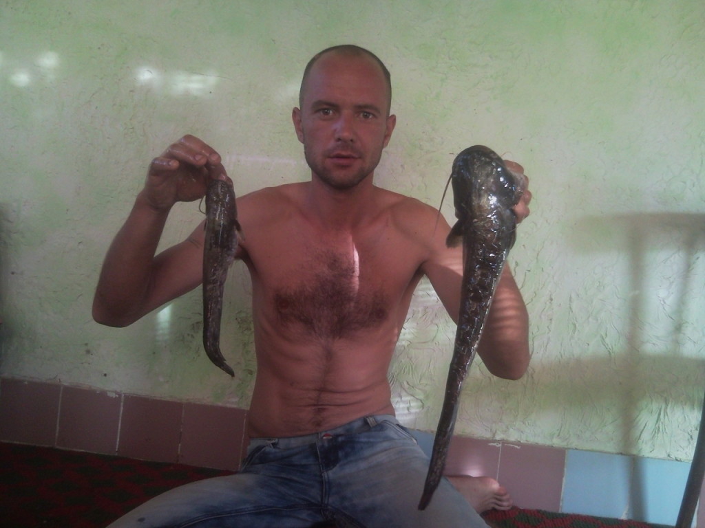 These are the catfish we peck in Uzbekistan - My, , Uzbekistan