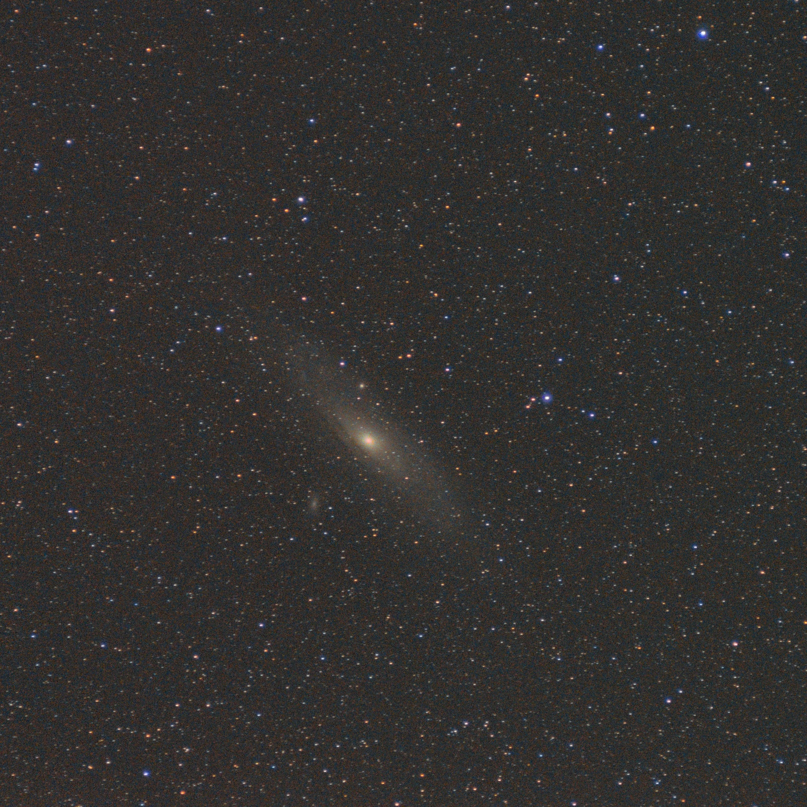 Andromeda galaxy and its satellite - My, Astronomy, Astrophoto