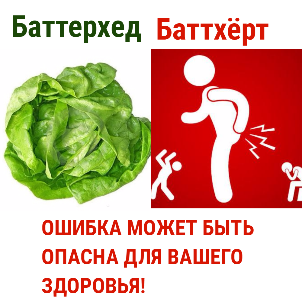 Be careful! - Salad, Butthurt, , Akhtung, Difference