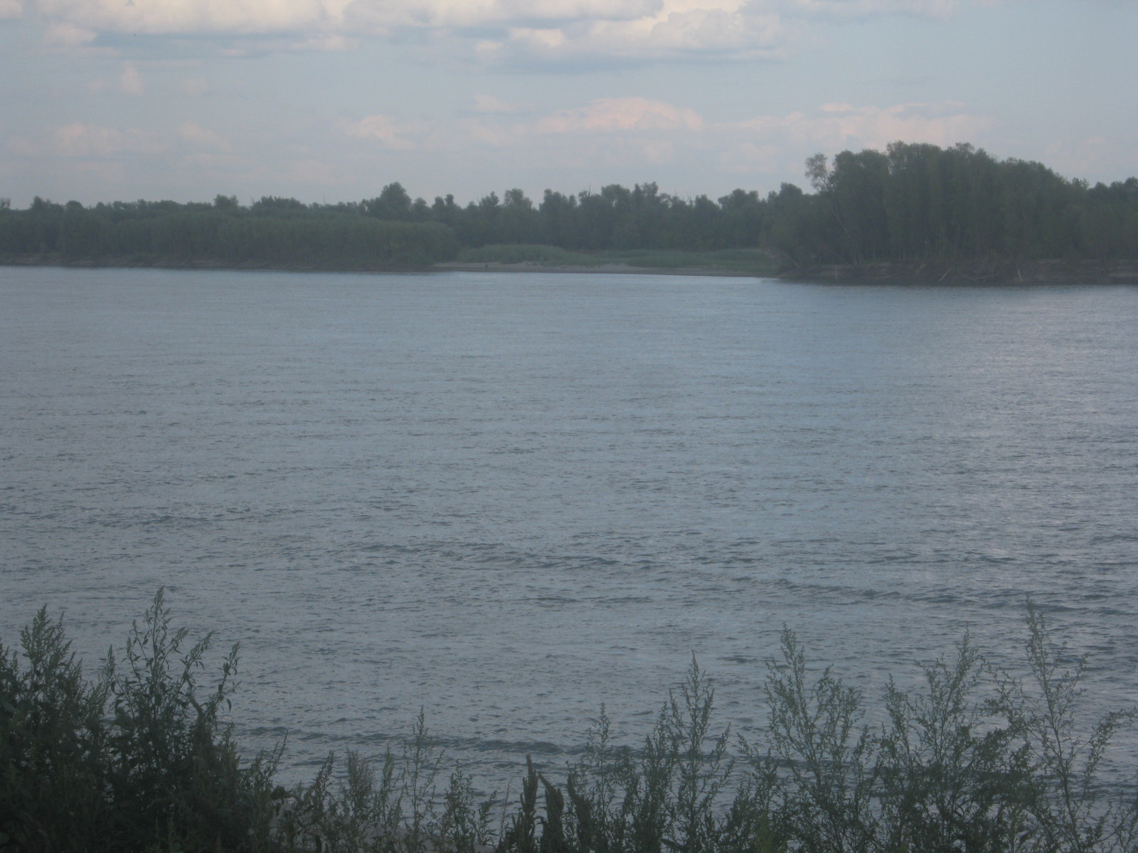 Ob shore - My, River, Water, Nature, The nature of Russia, Shore, Ob