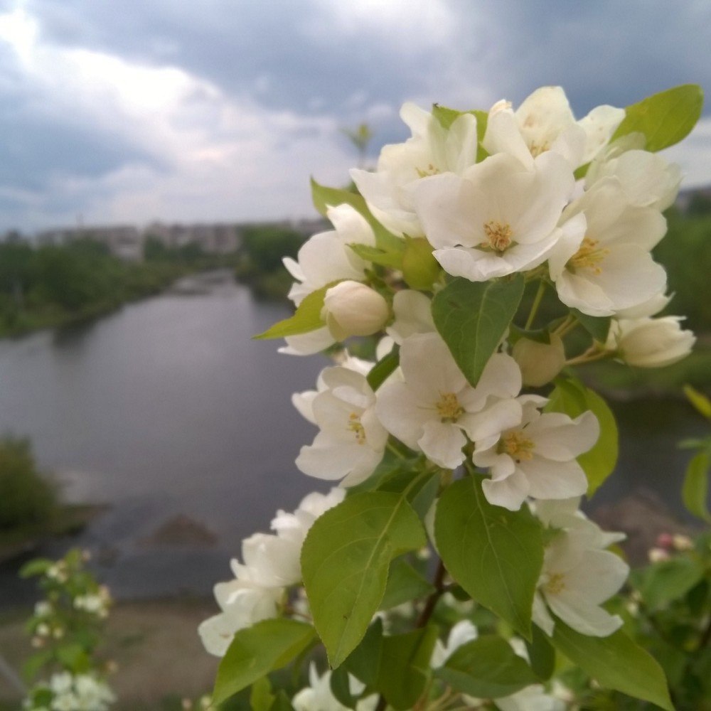 View from Mount Shihan - My, The photo, Sheehan, Nature, Nizhny Tagil, Sister, River, The mountains, Longpost, Sisters