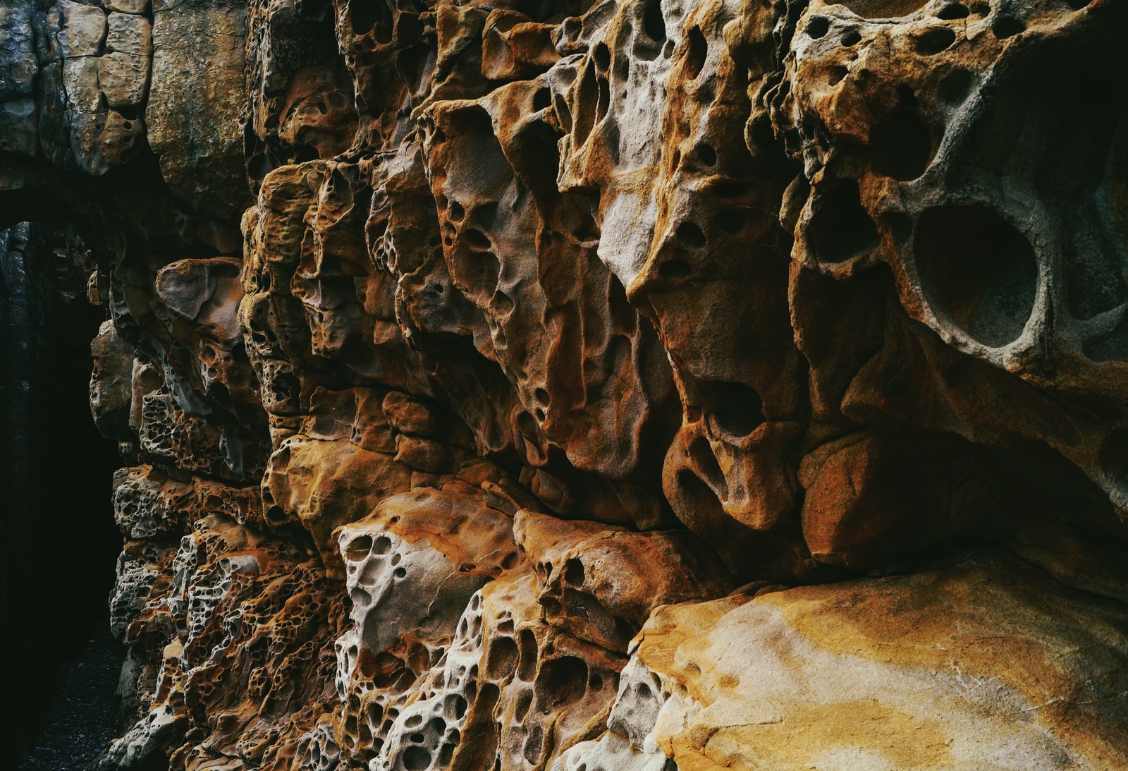 Cheese rocks - My, Crimea, The rocks, Black Sea, , Video, Longpost, Trypophobia