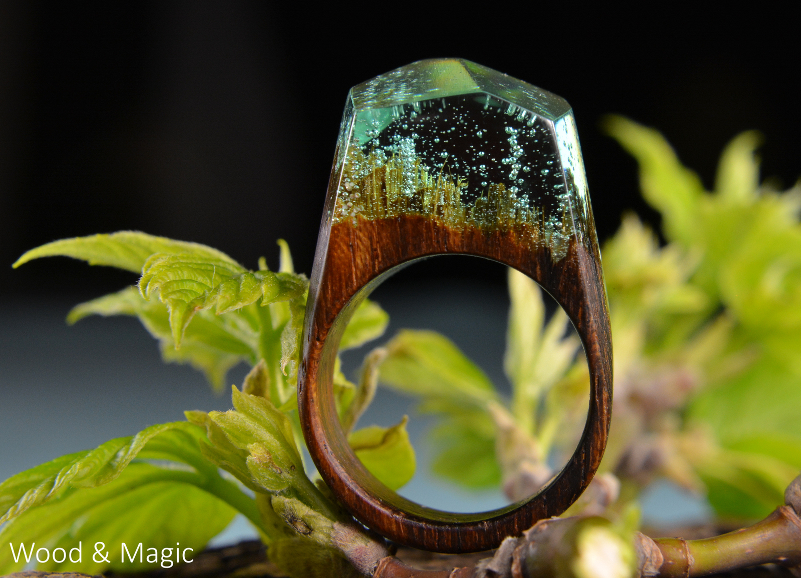 Wood and Epoxy Rings + Creative Photos (Part 3) - My, Handmade, Ring made of wood, Epoxy resin jewelry, Longpost