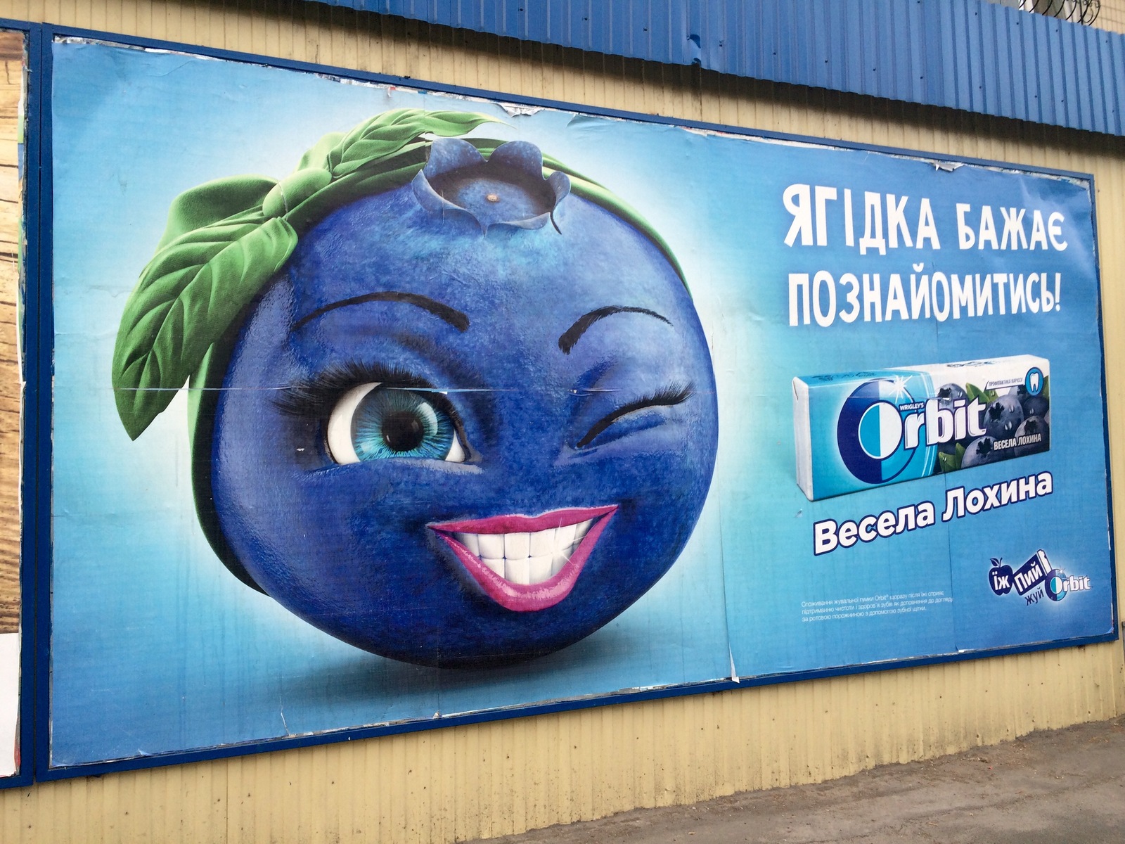 Merry blueberry - My, Kiev, Advertising, Blueberry, Lokhina