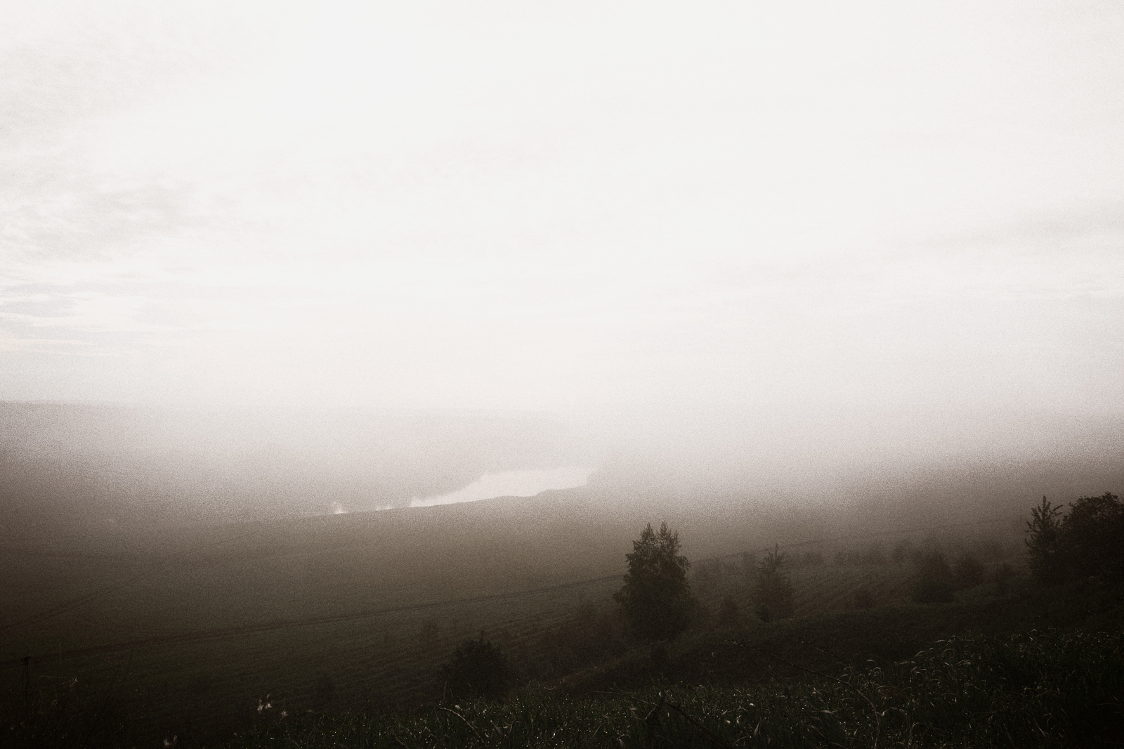 foggy morning - My, Morning, , dawn, Early morning, , Fog, beauty of nature, Nature, Longpost