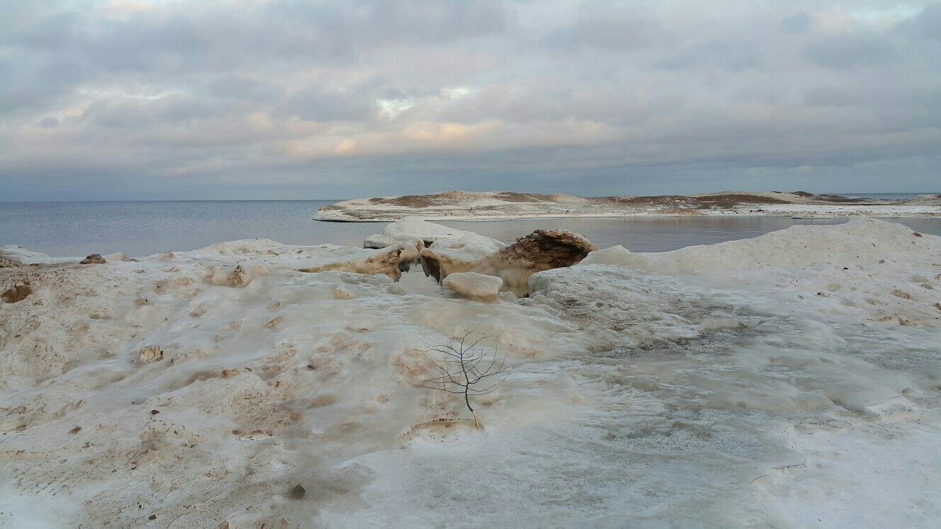 Звенит июньская вьюга... - Моё, Иней, Мороз, Ладожское озеро, Холодно