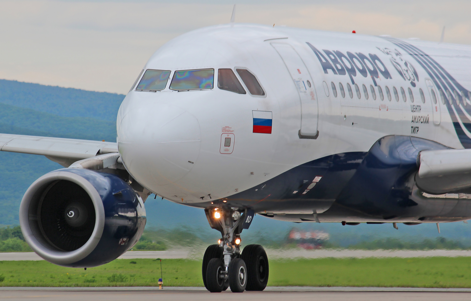 Spring spotting at Vladivostok airport - My, Aviation, The photo, Vladivostok, Spotting, Longpost