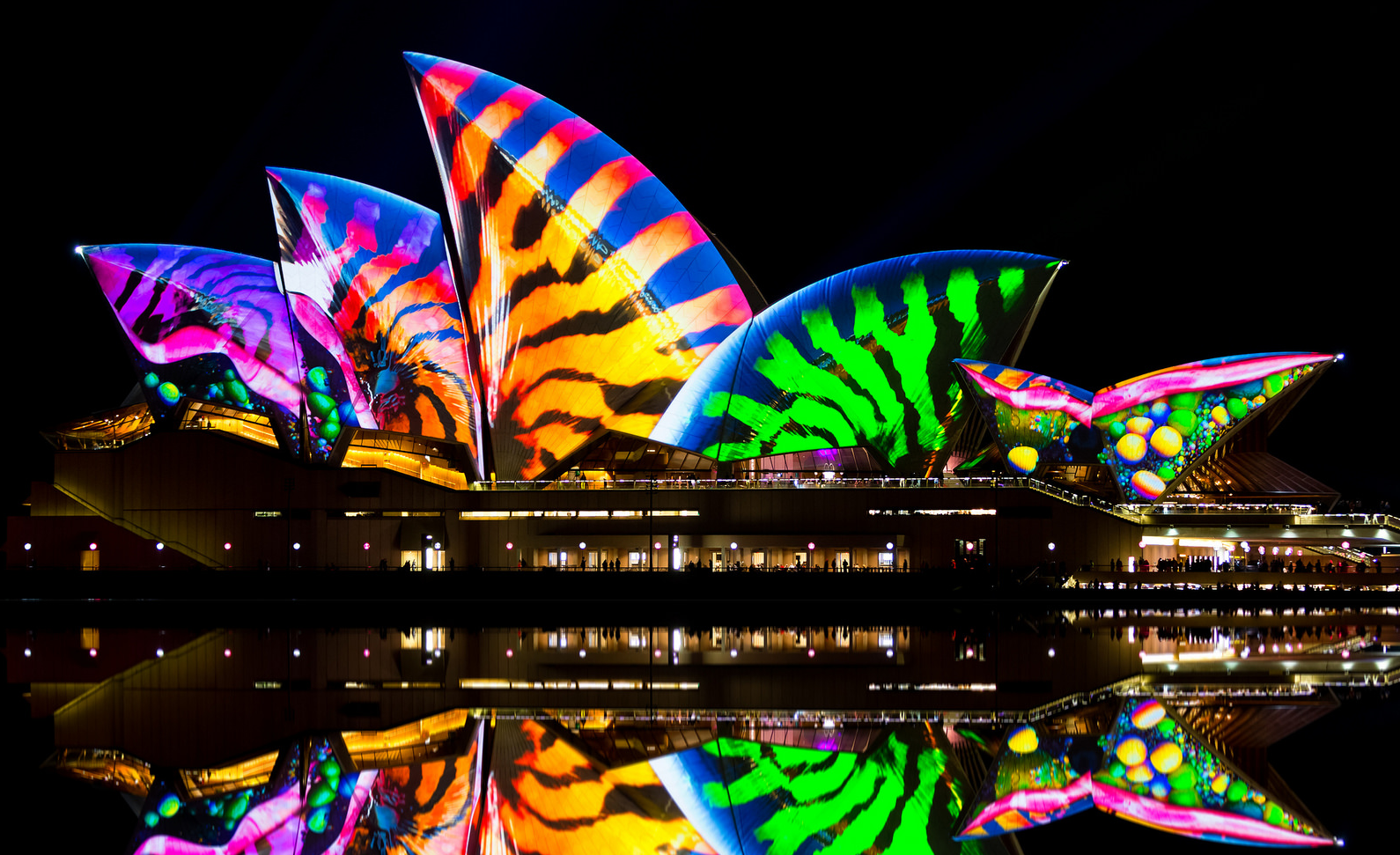 Sydney Opera House during Vivid Sydney Festival - The photo, Sydney Opera House, Sydney, The festival, Backlight, Color, Longpost