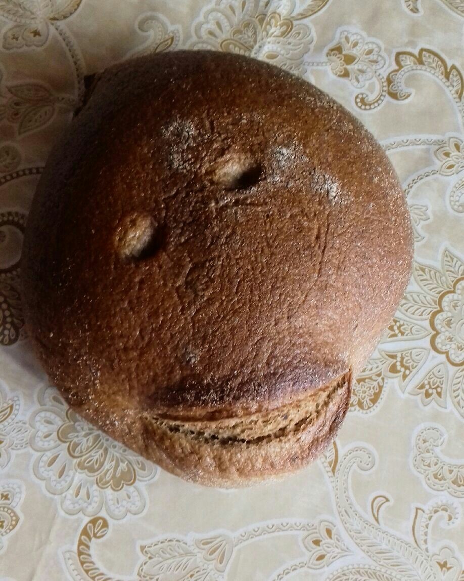 He seems happy to see me - My, Bread, Smile, It seemed