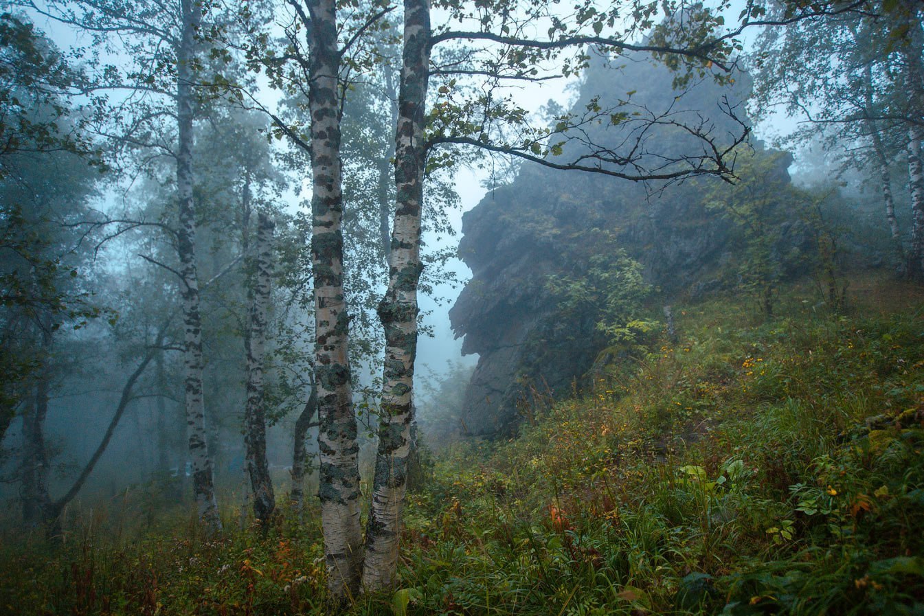 леса уральские горы