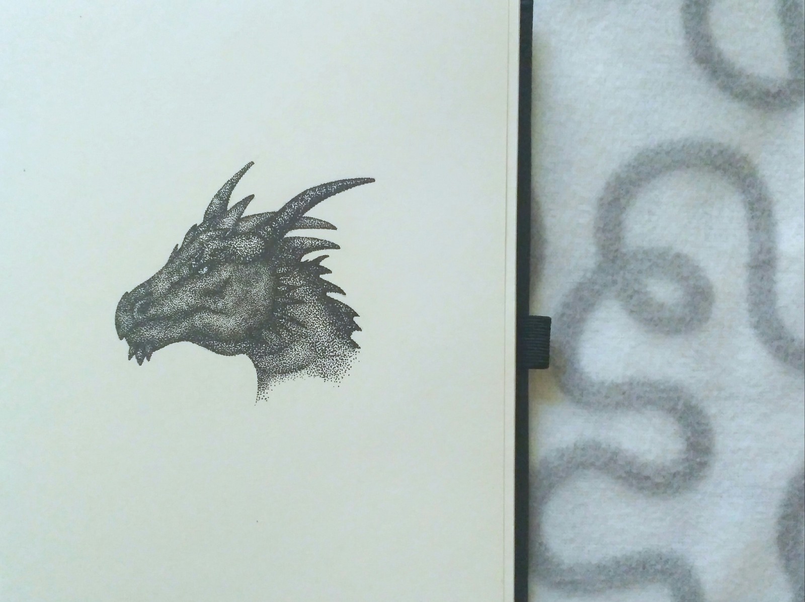 A couple of drawings from an old notebook - My, Drawing, Pen drawing, The Dragon