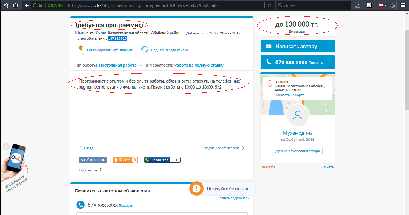 Such a job! - Olx, Работа мечты, Humor, Screenshot, Programmer