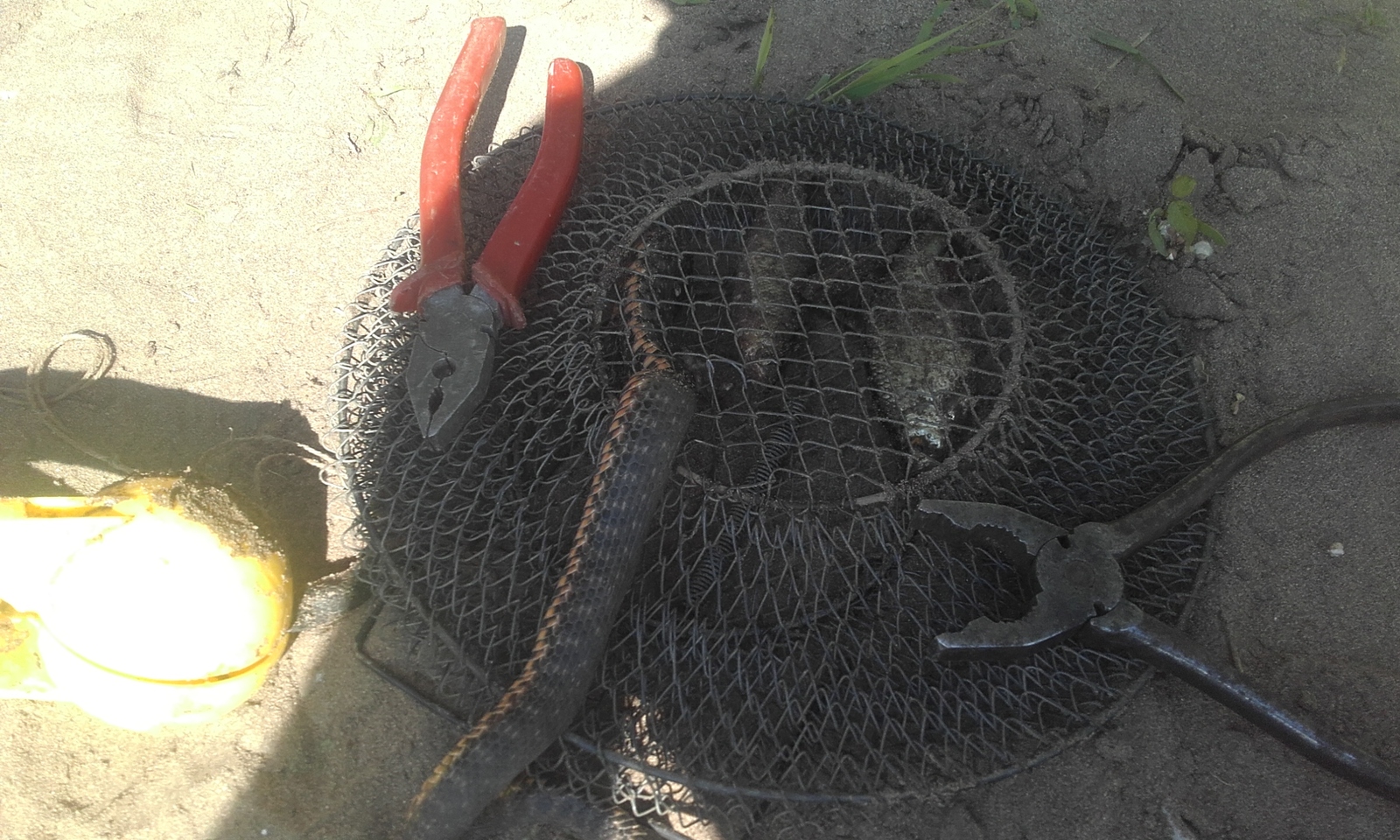 lazy fisherman - My, My, Fishing, Snake, Water Uzh, The photo, Nature and man, Video, Longpost, Nature