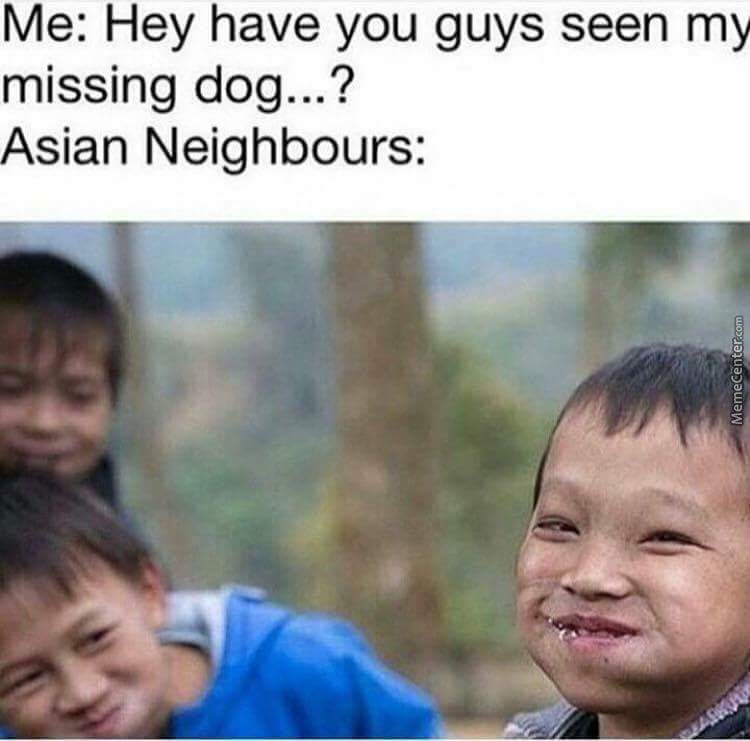 Did you see the dog? - Memes, Asians, Racism, Humor