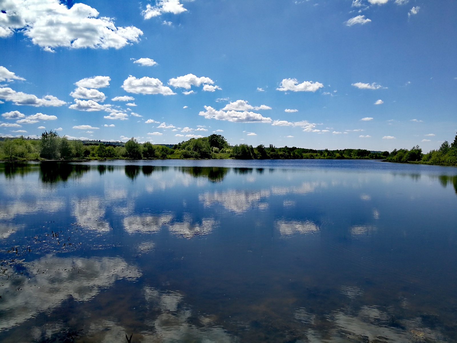 Finally the summer - My, The photo, Longpost, Dzerzhinsk, Nature, Huawei mate 9, cat