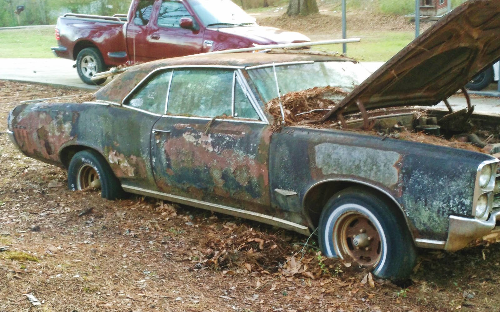 Pontiac GTO 1966 for $1500 (USA, Alabama). - Pontiac GTO, USA, Alabama, Abandoned, A world without people, Longpost