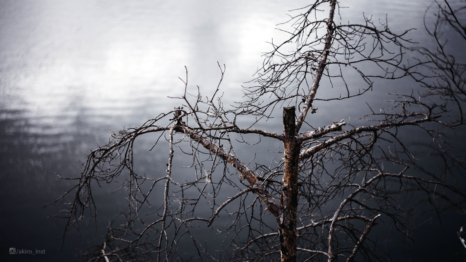 Excursion to an abandoned granite quarry - My, Career, The photo, Nature, Photographer, Korostyshiv, Longpost