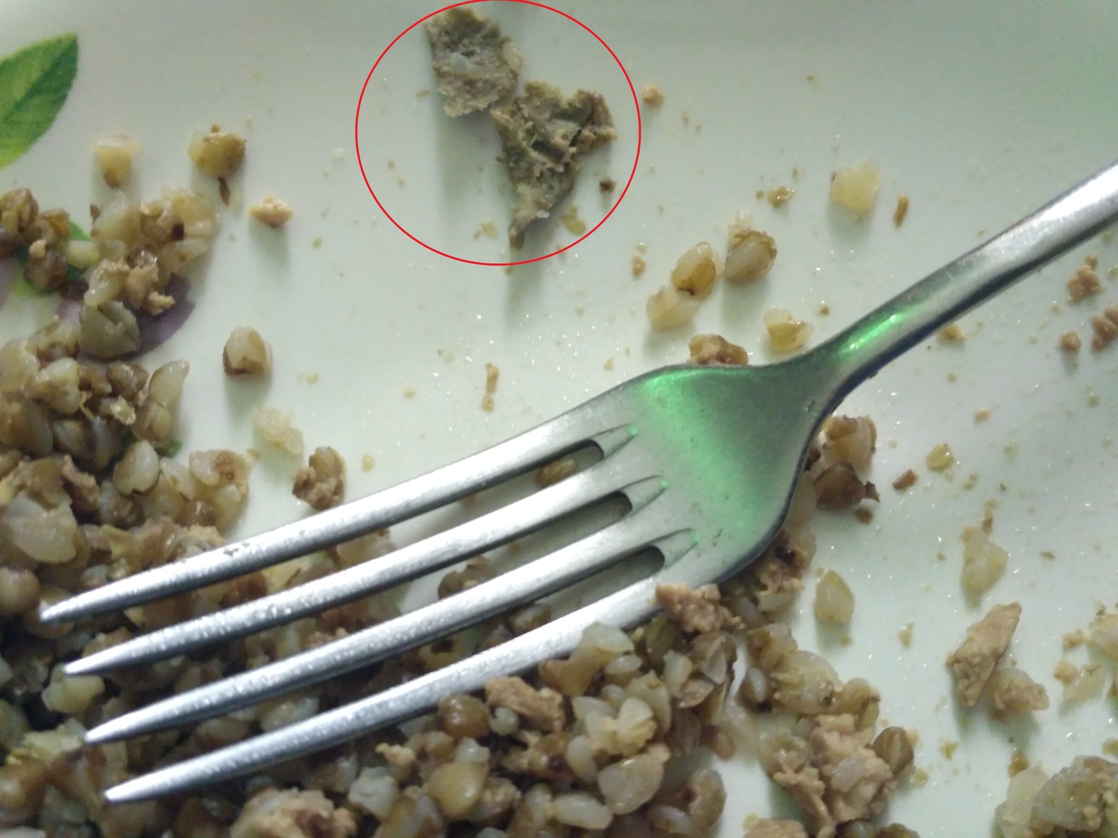 Paper in cod liver from Cannery No. H31 - My, Food, Cod liver, Buckwheat, Paper, My, Canned food