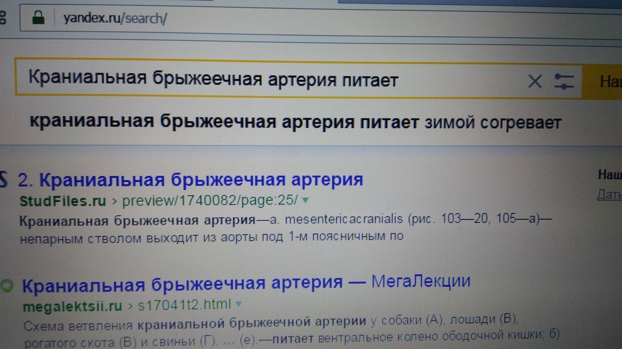 Яндекс знает, кто тебя согревает. - Моё, Анатомия, Интернет, Яндекс