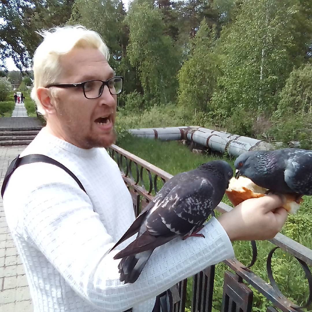 Violent attack of pigeons on a person - My, Pigeon, Attack, My, Walk