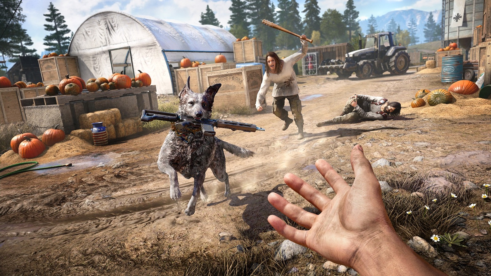 Новые скриншоты Far Cry 5 - Ubisoft, Far Cry 5, Длиннопост