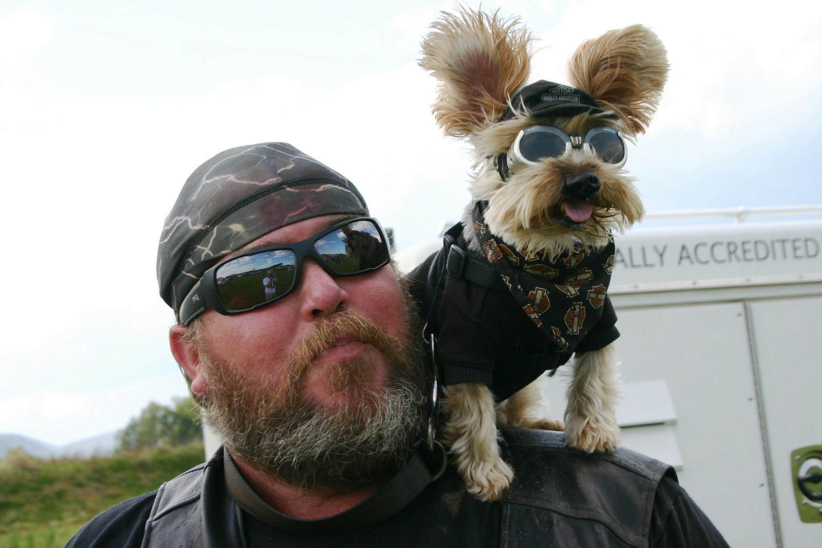 Bikers - Bikers, Dog, Motorcyclists