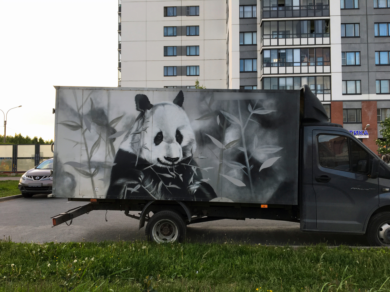 Sweet Gazelle - My, Gazelle, Saint Petersburg, Hello reading tags, Panda, Koala, Lemur, Art, Longpost