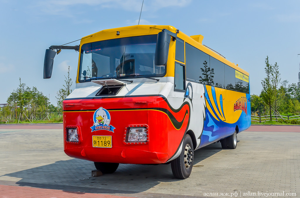 How I fell into the river on the bus. - My, South Korea, Travels, Asia, Longpost