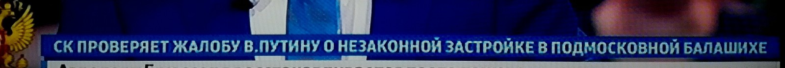 К ногтю! После жалобы Путину… - Моё, Владимир Путин, Жалоба, Власть, Чиновники, Прямая линия с Путиным, Телевидение, Телевизор, Длиннопост