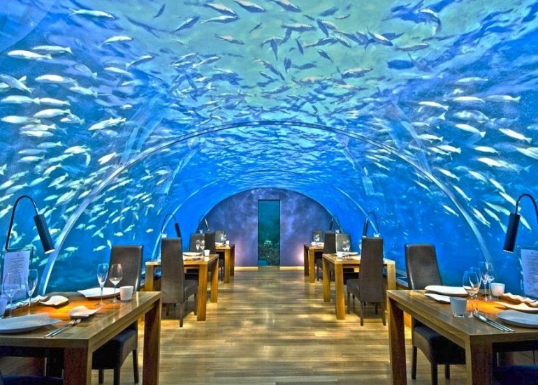 The most unusual restaurants in the world - A restaurant, Restaurants around the world, Relaxation, Food, Emotions, Impressions, Longpost