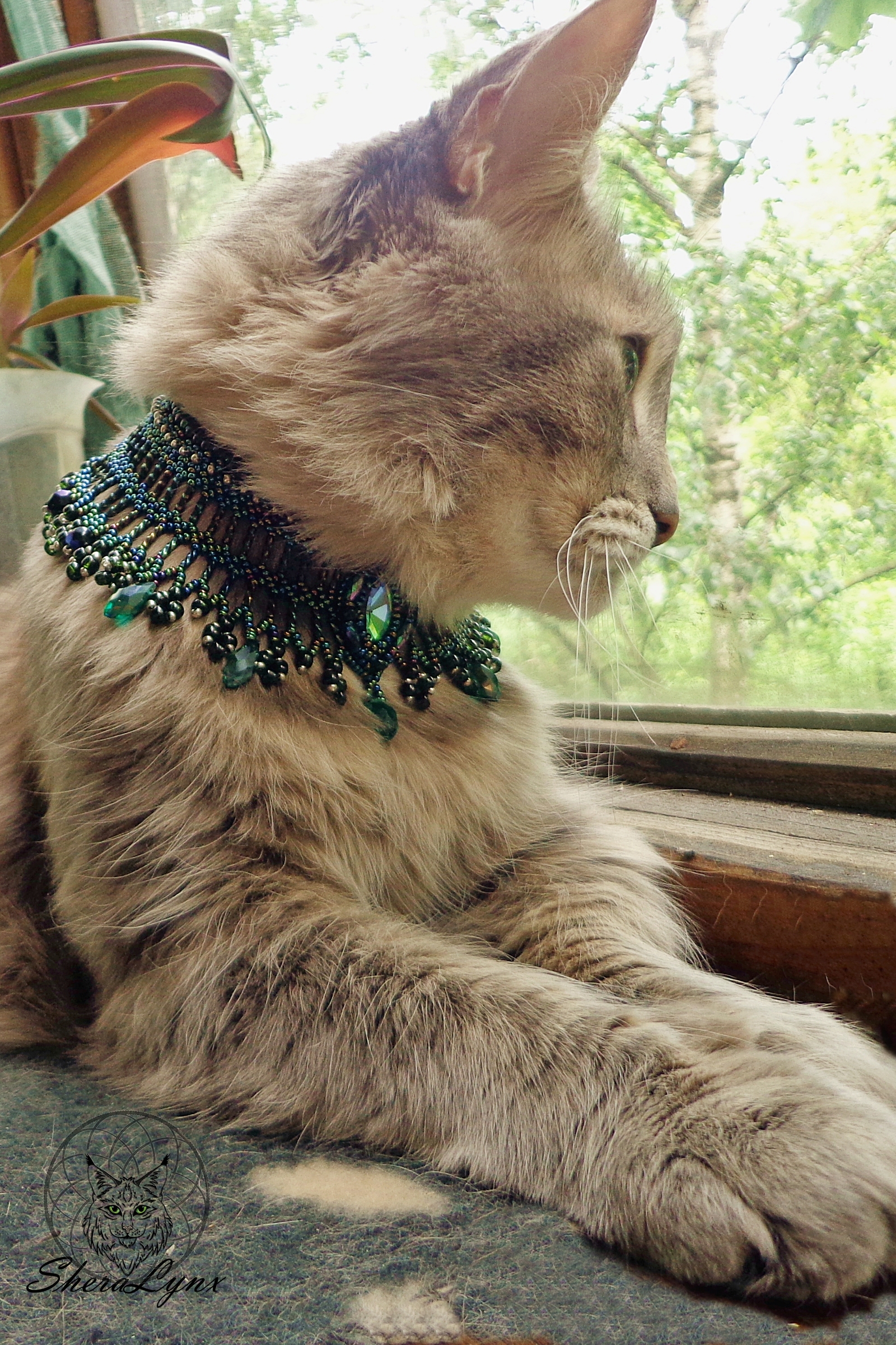 cat jewelry - My, Beads, Handmade, Needlework, Needlework without process, cat, Pet, Egypt, Friday tag is mine, Longpost, Pets