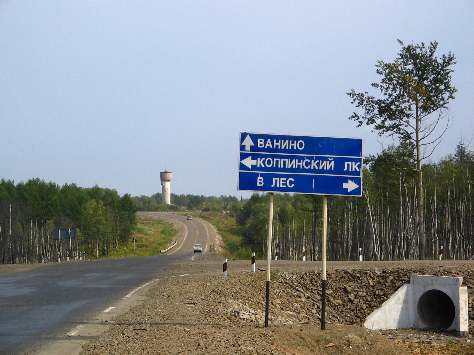 Веди нас Сусанин... В лес - Лес, Лидога-Ванино, Дорожный знак