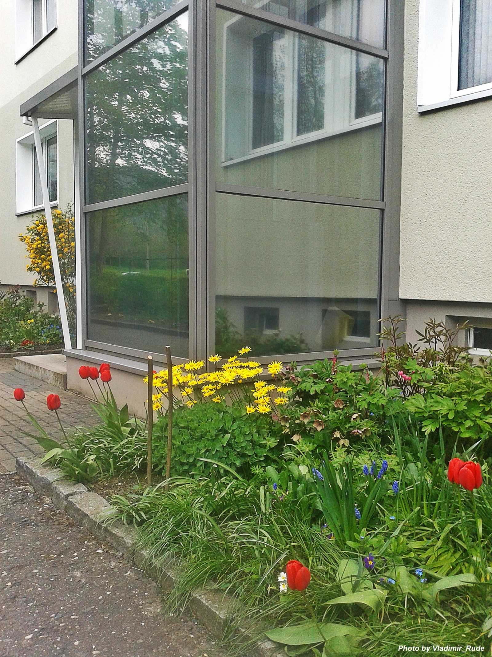 Notes on Germany #9: Beautification of residential areas 2 - My, Germany, Beautification, Bike path, House, Longpost