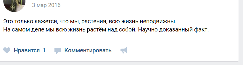 История одной большой любви и ненависти, или Приключения хлорофитума Алексея - Моё, Растения, Реальная история из жизни, Юмор, Длиннопост, Рисунок, Любовь, Сам пошутил - сам посмеялся