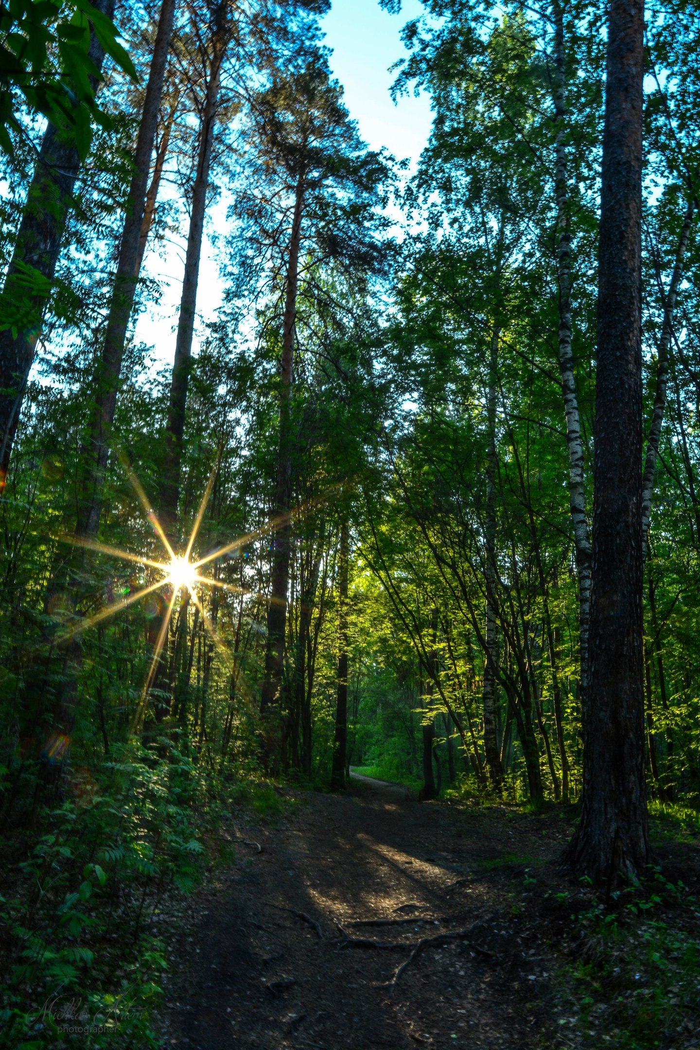 Chernyaevsky forest. - My, Nature, Permian, Chernyayevsky Forest, , Longpost