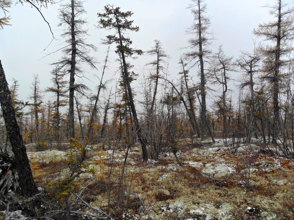 On Daldyn - My, Yakutia, The nature of Russia, River, Cultural rest, Video, Longpost