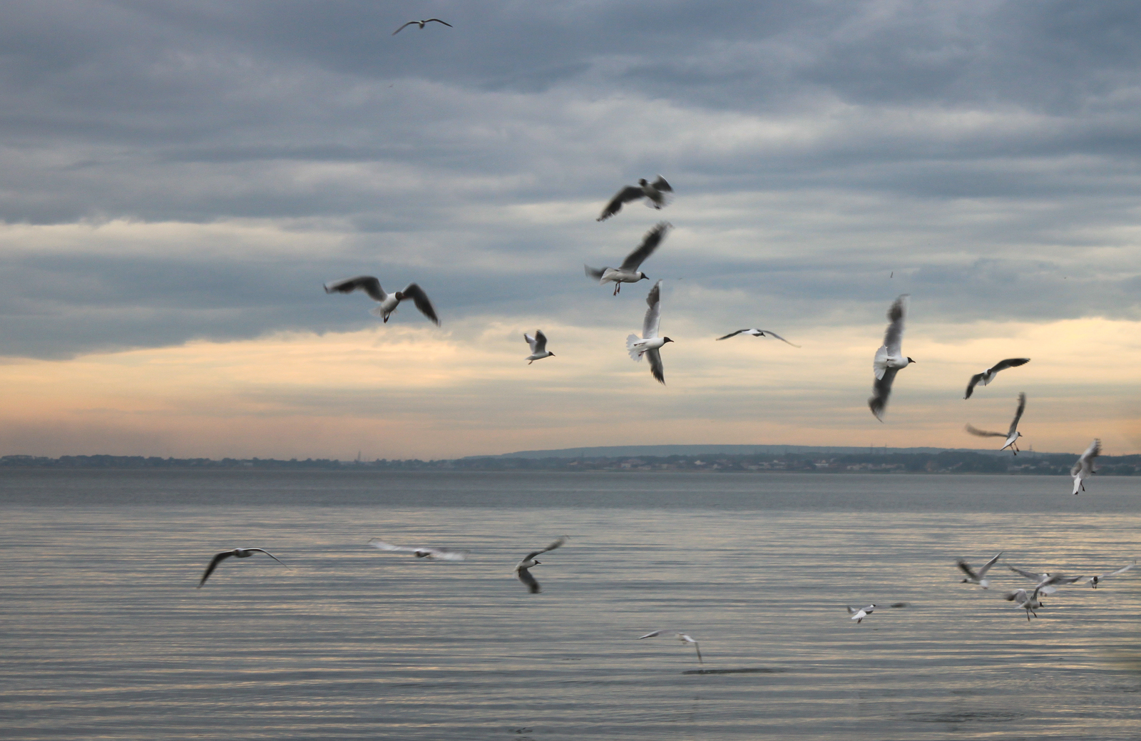 Die Ruhe vor dem Sturm - My, The photo, My, Chelyabinsk, Smolino, Longpost