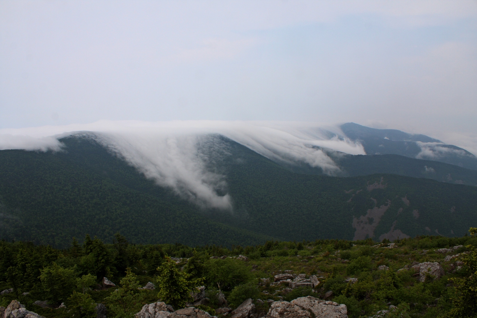 In the Suvodi of the Seaside Mists. - My, The photo, Primorsky Krai, Longpost