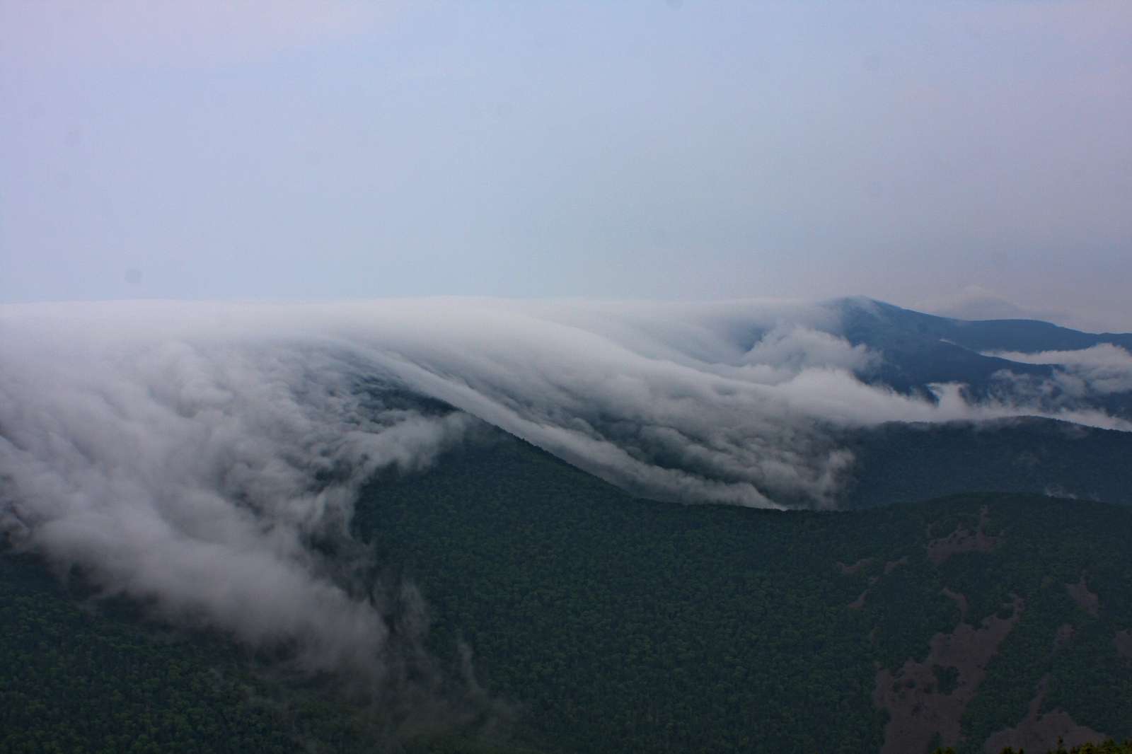 In the Suvodi of the Seaside Mists. - My, The photo, Primorsky Krai, Longpost