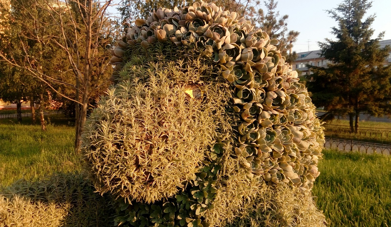 PhytoDiversity - My, Grass, Diversity