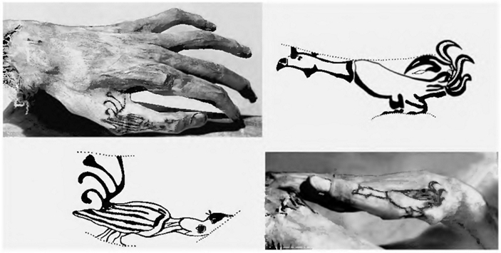 Tattooed mummies of Altai - Archeology, Altai, Pazyryk culture, Scythians, Nomads, Mummy, Longpost, Altai Republic