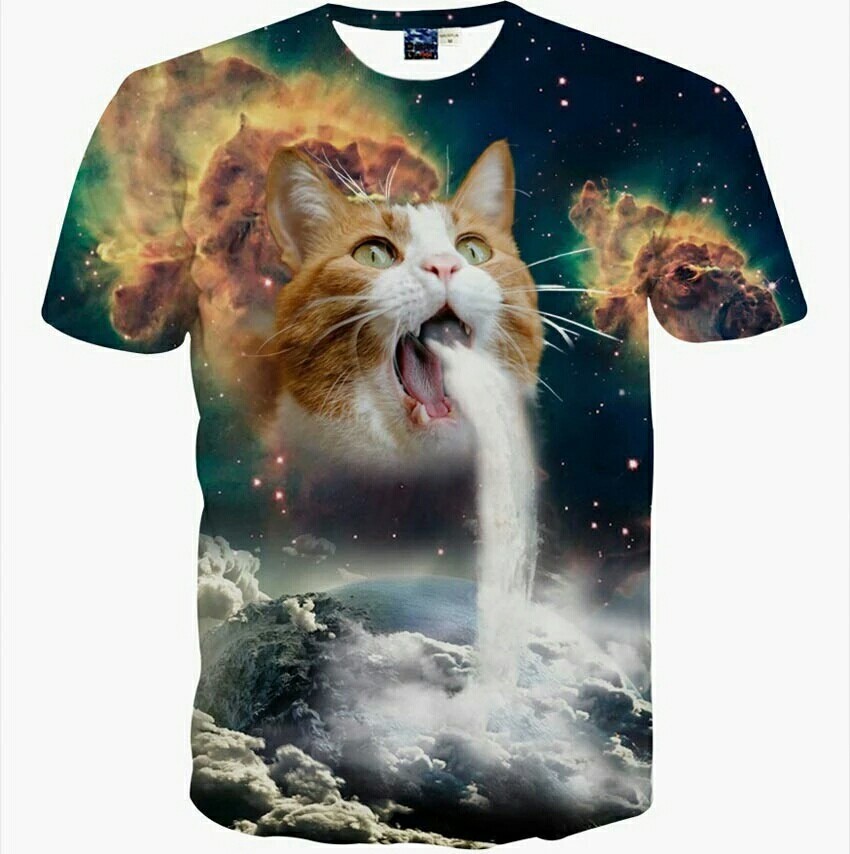 A bit of fashion from aliexpress - T-shirt, cat, Fashion, AliExpress, Aliexpress, Longpost, First long post, Chinese goods