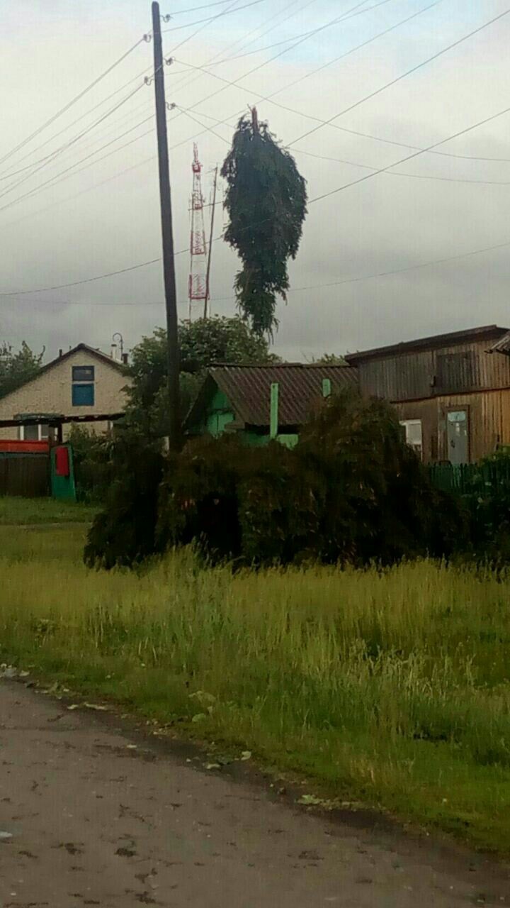 The consequences of a devastating tornado in the village of Maloe Pesyanovo (Kurgan region, 06/18/2017). - Russia, Tornado, Kurgan region, Nature, Longpost