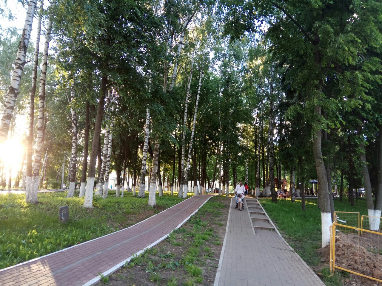 On the question of the Alley of Veterans in Sergiev Posad - Sergiev Posad, Alley of Veterans, Administration, Church, Temple, Longpost, Tree, Birch