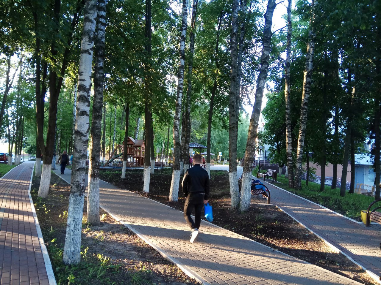 On the question of the Alley of Veterans in Sergiev Posad - Sergiev Posad, Alley of Veterans, Administration, Church, Temple, Longpost, Tree, Birch