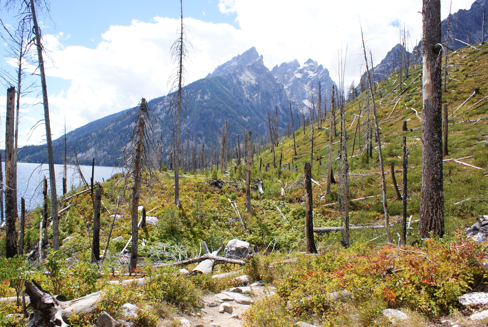 US Travel by Car - Part 2 - Grand Teton National Park - My, USA, Nature, Drive, Travels, The mountains, Longpost