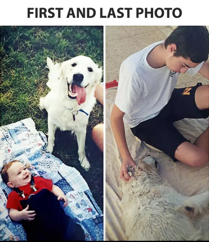 First and last photo... - friendship, Person, Dog, Animals