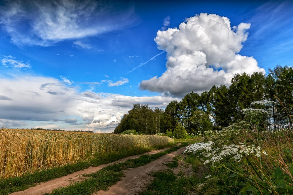 Фото природы - Природа, Фотография, Юлия Лаптева, Длиннопост