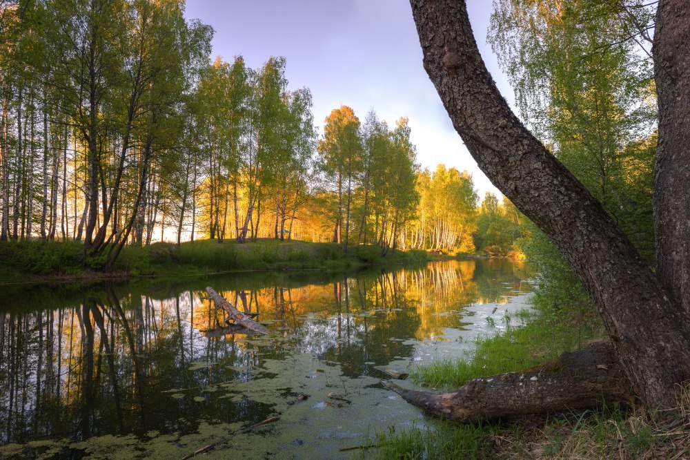 Фото природы - Природа, Фотография, Юлия Лаптева, Длиннопост