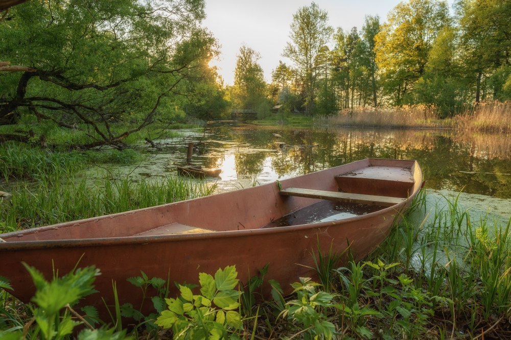 Фото природы - Природа, Фотография, Юлия Лаптева, Длиннопост